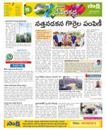 Mahabubnagar Constituencies