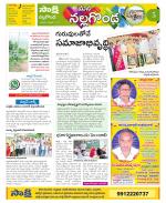 Nalgonda Constituencies