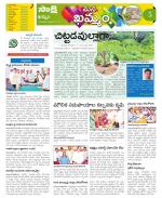 Khammam Constituencies