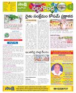 Nalgonda Constituencies