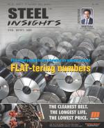 Steel Insights