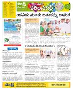 Karimnagar Constituencies