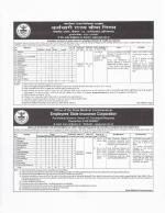 Job Notification / Results