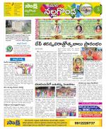 Nalgonda Constituencies