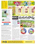 Karimnagar Constituencies