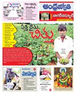 Nagarkurnool District