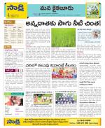 Krishna Constituencies