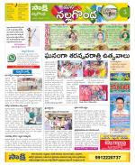 Nalgonda Constituencies