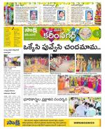 Karimnagar Constituencies