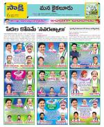 Krishna Constituencies