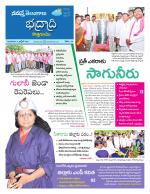 Bhadradri Kothagudem