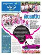 Bhadradri Kothagudem