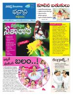 Bhadradri Kothagudem