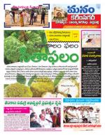 Karimnagar/siricilla/Jagityala