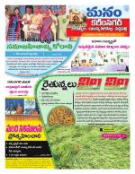 Karimnagar/siricilla/Jagityala