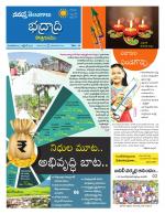 Bhadradri Kothagudem