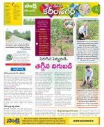 Karimnagar Constituencies