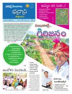 Bhadradri Kothagudem