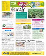 Karimnagar Constituencies