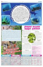 Dinaethal - Tamilnadu