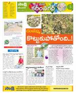 Karimnagar Constituencies