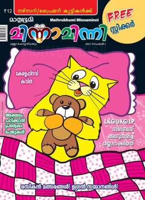 Minnaminni-2017 November 1