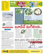 Karimnagar Constituencies