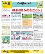 Krishna Constituencies