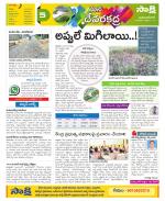 Mahabubnagar Constituencies