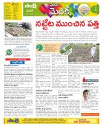 Medak Constituencies