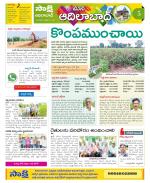 Adilabad Constituencies