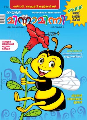 Minnaminni-2017 November 8