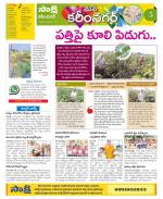 Karimnagar Constituencies