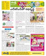 Karimnagar Constituencies