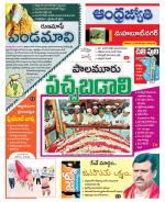 Mahabubnagar District