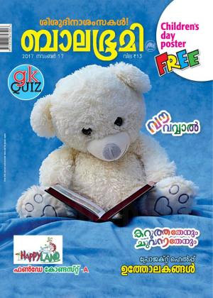 Balabhumi-2017 November 17