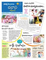 Bhadradri Kothagudem