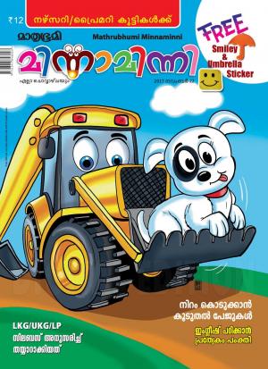 Minnaminni-2017 November 22