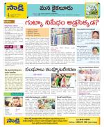 Krishna Constituencies