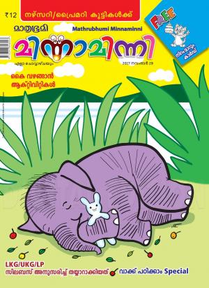 Minnaminni-2017 November 29