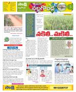 Nalgonda Constituencies