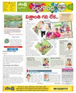 Nalgonda Constituencies