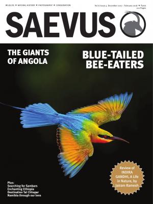 SAEVUS DEC 17-FEB 18