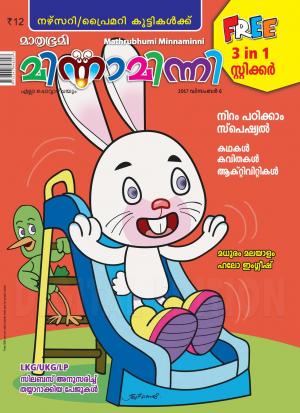 Minnaminni-2017 December 6