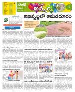 Khammam Constituencies