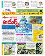 Adilabad Constituencies