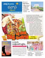 Bhadradri Kothagudem