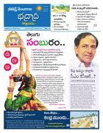 Bhadradri Kothagudem