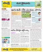 Krishna Constituencies