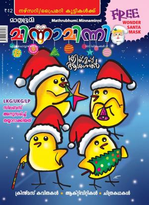 Minnaminni-2017 December 27